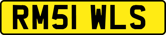 RM51WLS