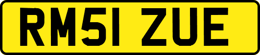 RM51ZUE
