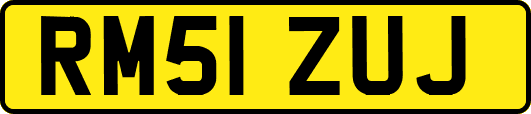 RM51ZUJ