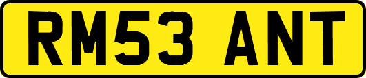 RM53ANT