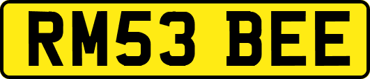 RM53BEE