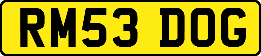 RM53DOG