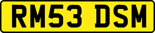 RM53DSM