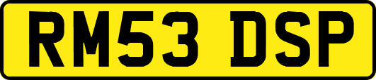 RM53DSP