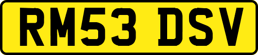 RM53DSV