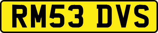 RM53DVS