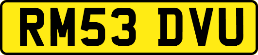 RM53DVU