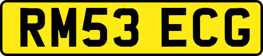 RM53ECG