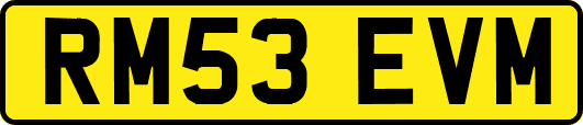 RM53EVM