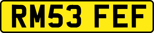RM53FEF