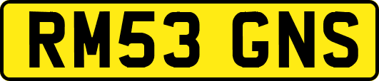 RM53GNS