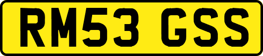 RM53GSS