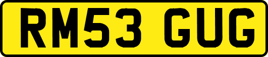 RM53GUG