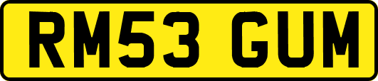 RM53GUM