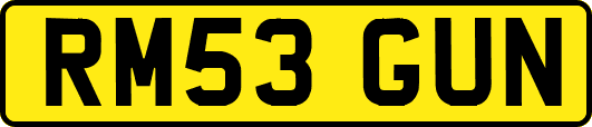RM53GUN
