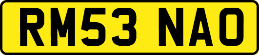 RM53NAO