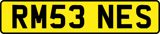 RM53NES