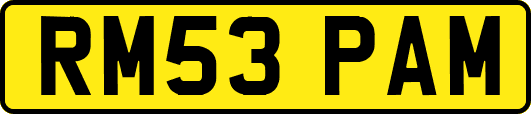 RM53PAM