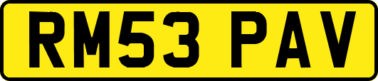 RM53PAV