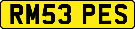 RM53PES