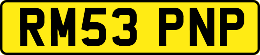 RM53PNP