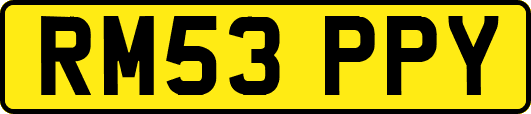 RM53PPY
