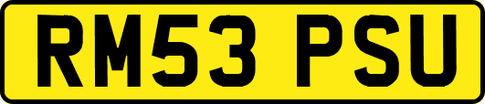 RM53PSU