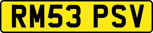 RM53PSV