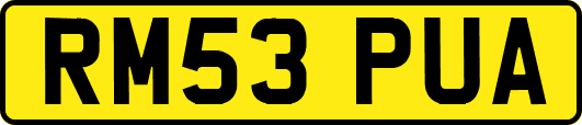 RM53PUA