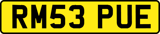 RM53PUE