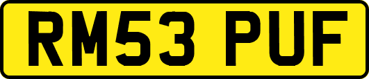 RM53PUF