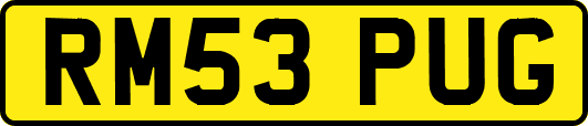 RM53PUG