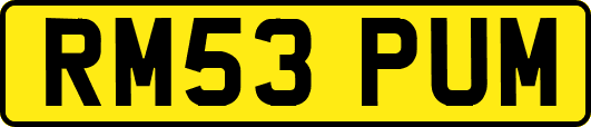 RM53PUM