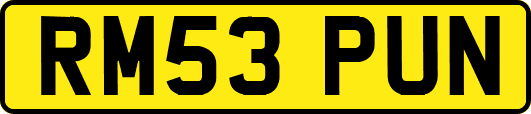 RM53PUN