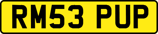 RM53PUP