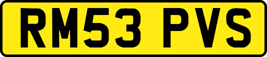 RM53PVS