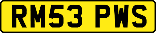 RM53PWS