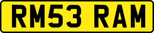 RM53RAM