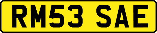 RM53SAE