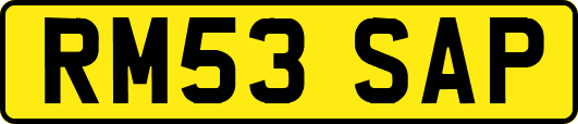 RM53SAP