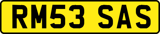RM53SAS