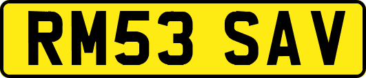 RM53SAV