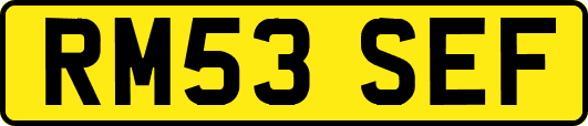 RM53SEF