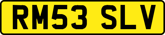 RM53SLV