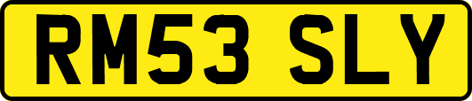 RM53SLY