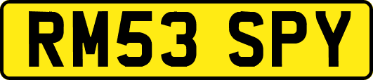RM53SPY