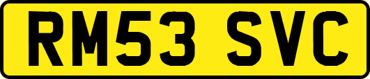 RM53SVC