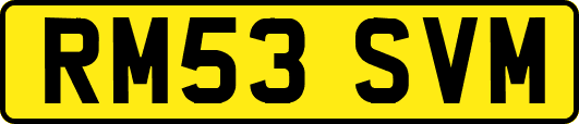 RM53SVM
