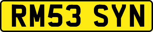 RM53SYN