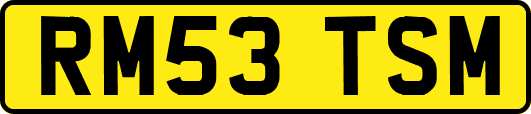 RM53TSM